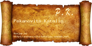 Pekanovits Katalin névjegykártya
